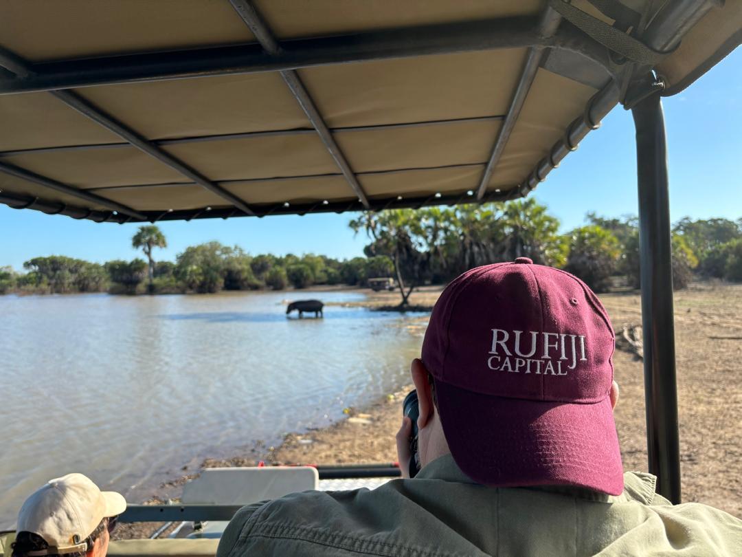Un hippopotame traverse le fleuve, vu depuis un véhicule de safari. Au premier plan, de dos, un passager porte une casquette RUFIJI Capital.
