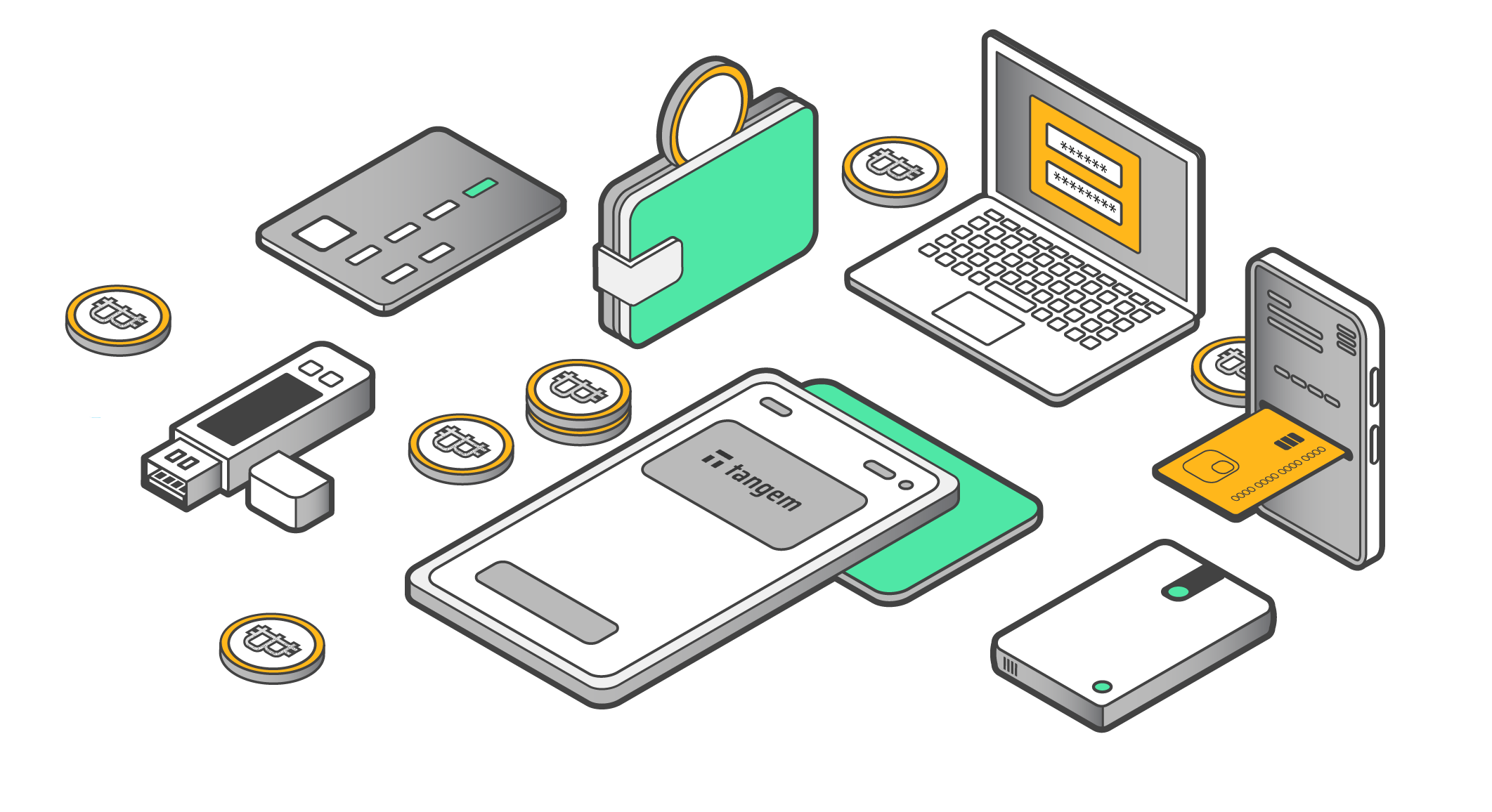 Les 5 meilleurs portefeuilles cryptos pour débutants en 2024 | RUFIJI  Capital